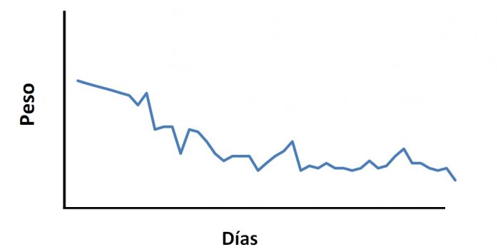 bajar de peso adelgazar pérdida de peso Dietista Nutricionista Consulta Doctora Zuloaga Eibar Donostia San Sebastián Eibar Irun