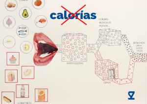 el fracaso de contar calorías Dra. Silvia Zuluaga médico dietética nutrición adelgazar peso kilos Donostia San Sebastián consulta online videoconsulta